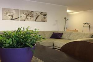 Šaulys1 Apartments, Druskininkai