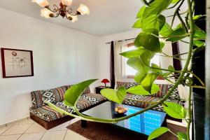 Ambre appartement Apartments, Essaouira