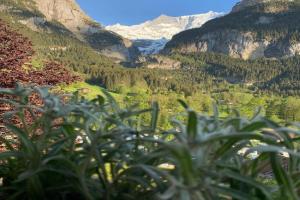 Velvet Eiger Apartments, Grindelwald