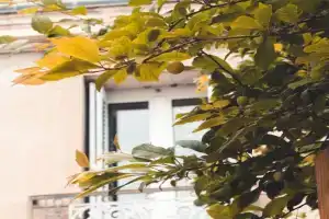 L'Etape - La Maison des amis Guest house, Tours