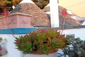 Casa da Luisa Countryhouse, Noci