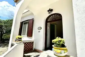 Simona House, Scala