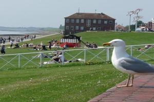 Luxus Kapitänswohnung 'Helgoland-Avantgarde' Apartments, Wilhelmshaven