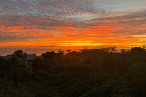 Tierra Santa Self Caterings Apartments, Anse Etoile