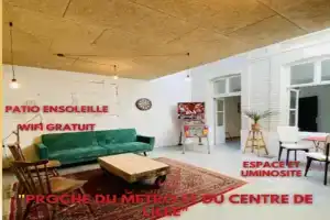 Oasis Urbaine - Spacieux et calme avec patio Apartments, Lille