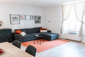 Oldie goldie Apartments, Maribor
