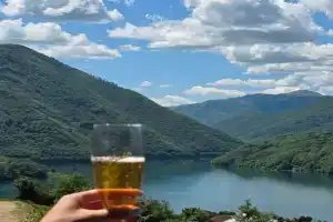 Apartman Ćalasan, Pluzine