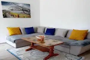 Panorama Apartment, Pluzine