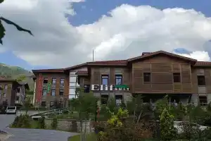 Ayder Elif Apart Daire, Ayder
