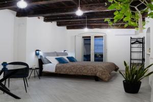 AngeLina Home, Campobasso