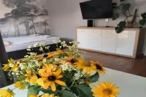 Apartament 25 Mikołajki, Mikolajki