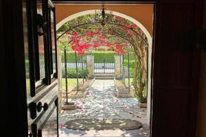 Bougainvillea House, Acharavi