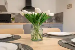 Tündérkert Apartman, Gyula