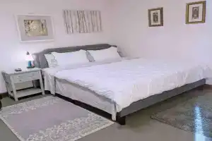 Walkable Uptown area, King Suite, Quiet and Private Apartments, Charlotte