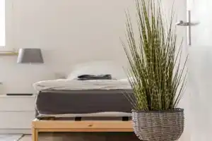 City Apartment, Singen