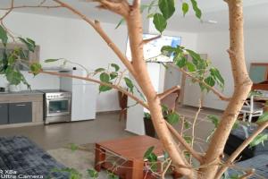 Predah Apartments, Vrane