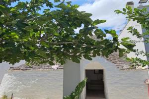 River Trulli oasi di pace in sito UNESCO Guest house, Alberobello