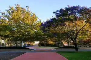 Celia's lovely house, Perth