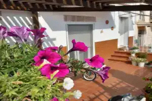 Dalla Fede Guest house, Loreto