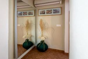 Apartmani Barica, Novigrad