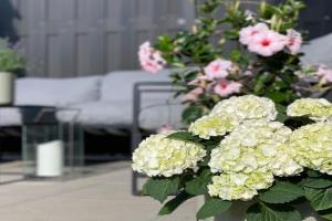 Ferienwohnung Annabelle Apartments, Schneverdingen