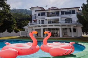 Villa55 w Private swimming pool BBQ Pool table 25pax, Georgetown