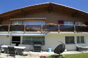 Apartment Aloa by Interhome, Adelboden