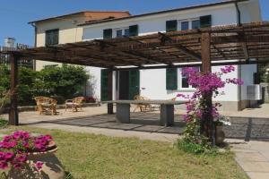 Casa Franguella - Uliveto sul mare, Lavagna