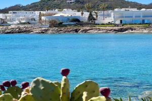 Appartement Apartments, Kelibia