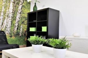Las Casucas 4C Apartments, Santander