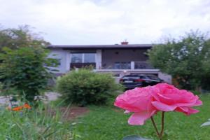 A place to be - Ruhelage mit gratis Parkplatz Apartments, Graz