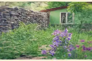 Green Hostel, Dilijan