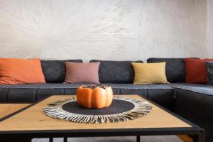 stan na dan AURORA Apartments, Pozarevac