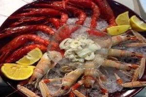 dimora del pescatore Apartments, Savelletri