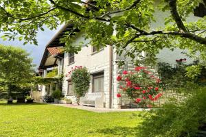 Apartma Savan, Tolmin