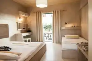 Zante Nest Studios & Apartments, Alikanas