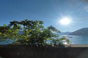 Veronika Apartments, Baosici