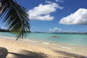 Bel appartement sur la route côtière à 50 m d une très belle plage Apartments, Pointe aux Canonniers