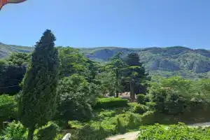 N&B Apartment, Kotor