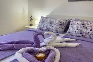 Lily Cozy Apartment, Nis