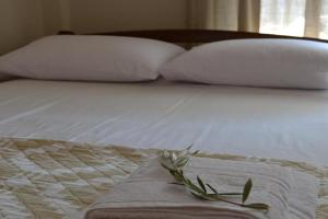 Chrisoula's Rooms, Paralia Katerinis