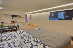 T4 Studio apartment, Klaipeda