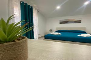 La Casa di Noah, Catania