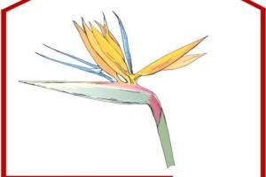 CasaLina Apartment, Manduria