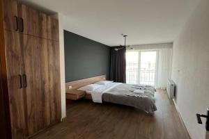 Area Park 103 Apartments, Bakuriani