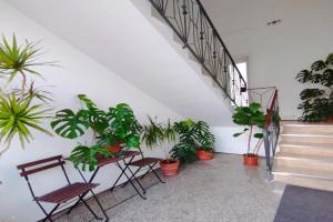 Mamma Assuntina Guest house, Lecce