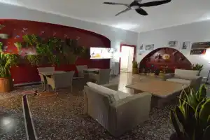 Mami Affittacamere Guest house, Genoa