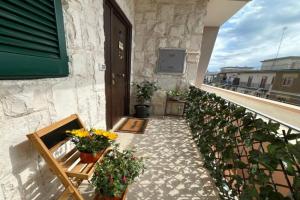 The White House, Giovinazzo