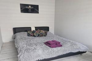 Kaunas Pramogų kambarys Apartments, Kaunas
