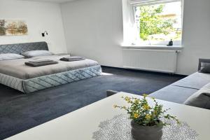 SILVIA apartment 109, Druskininkai